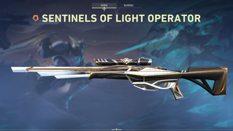 2 Valorant Sentinels of Light Operator Skin