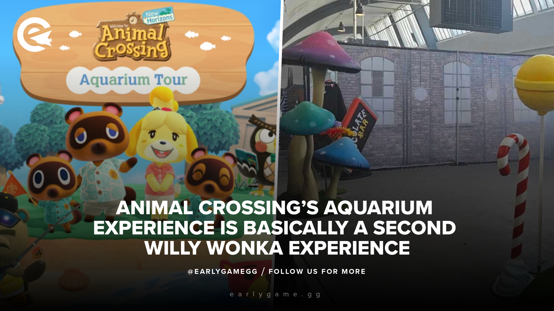 Опыт аквариума Animal Crossing — это, по сути, второй опыт Вилли Вонки