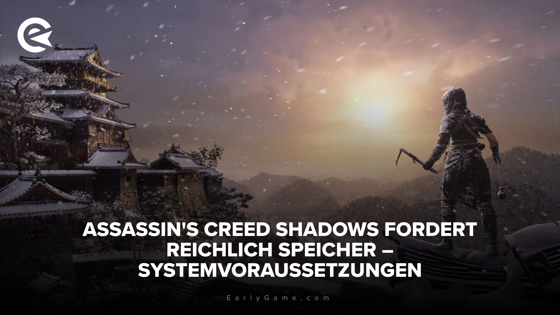 ACS System Requirements DE
