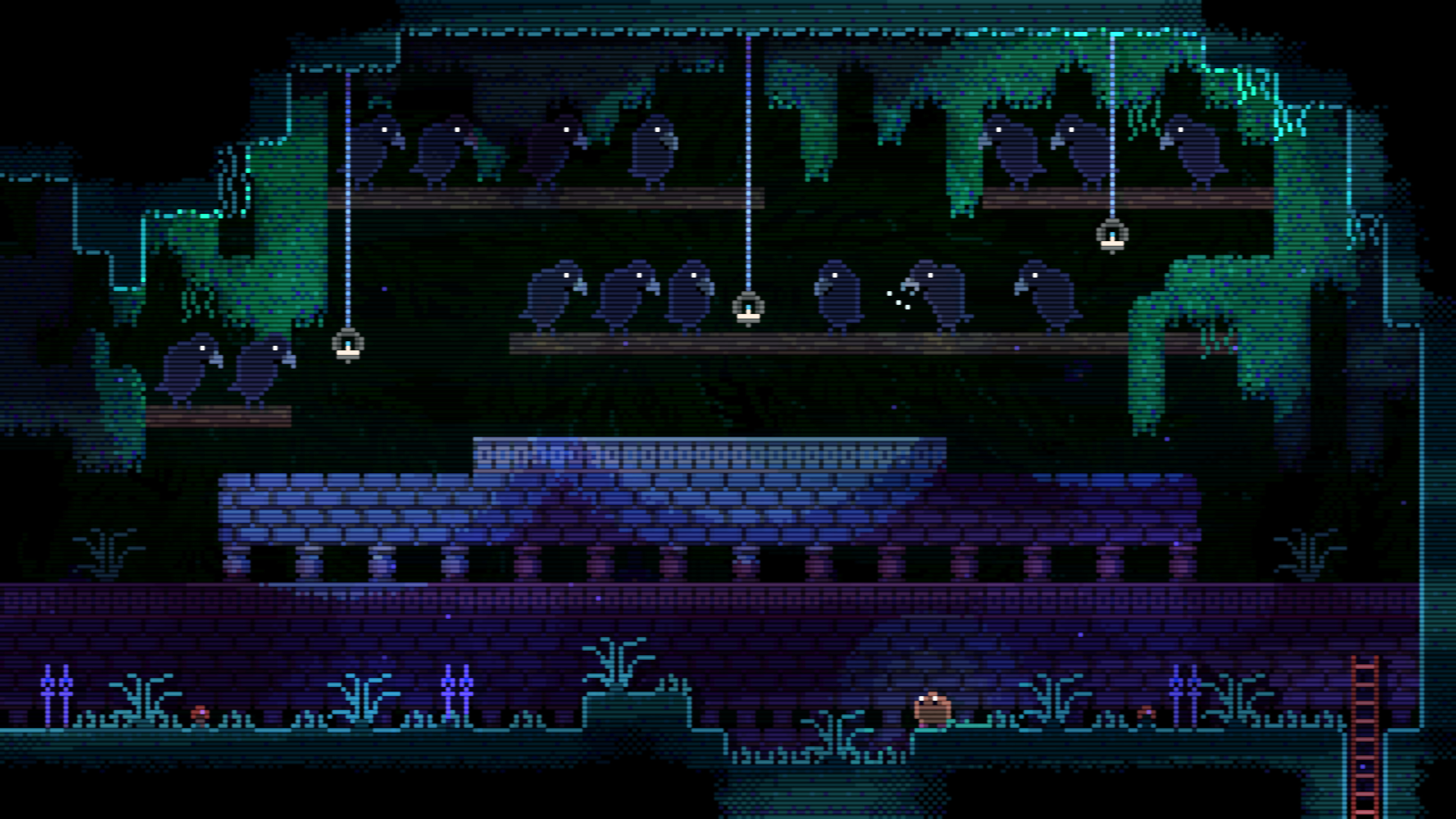 ANIMAL WELL