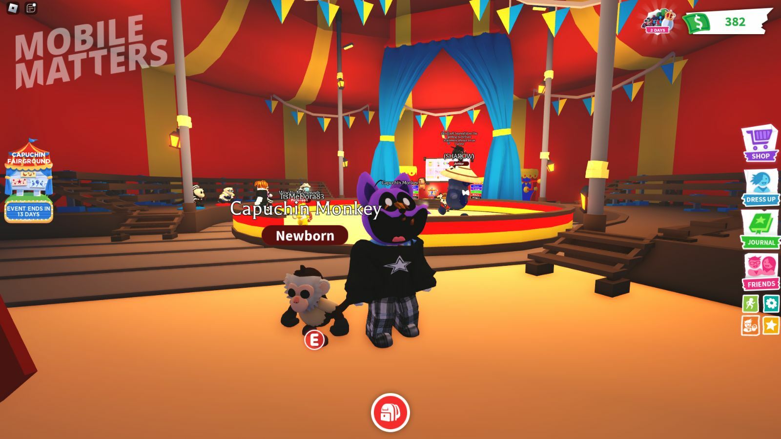 Adopt Me Capuchin Monkey Obtained