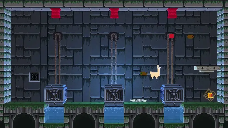 Adventure Llama