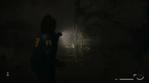 Alan Wake 2 Swamp