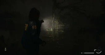 Alan Wake 2 Swamp