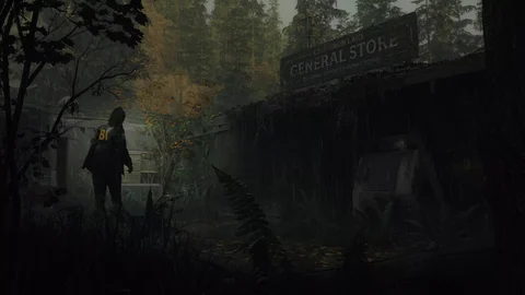 Alan wake 2 store