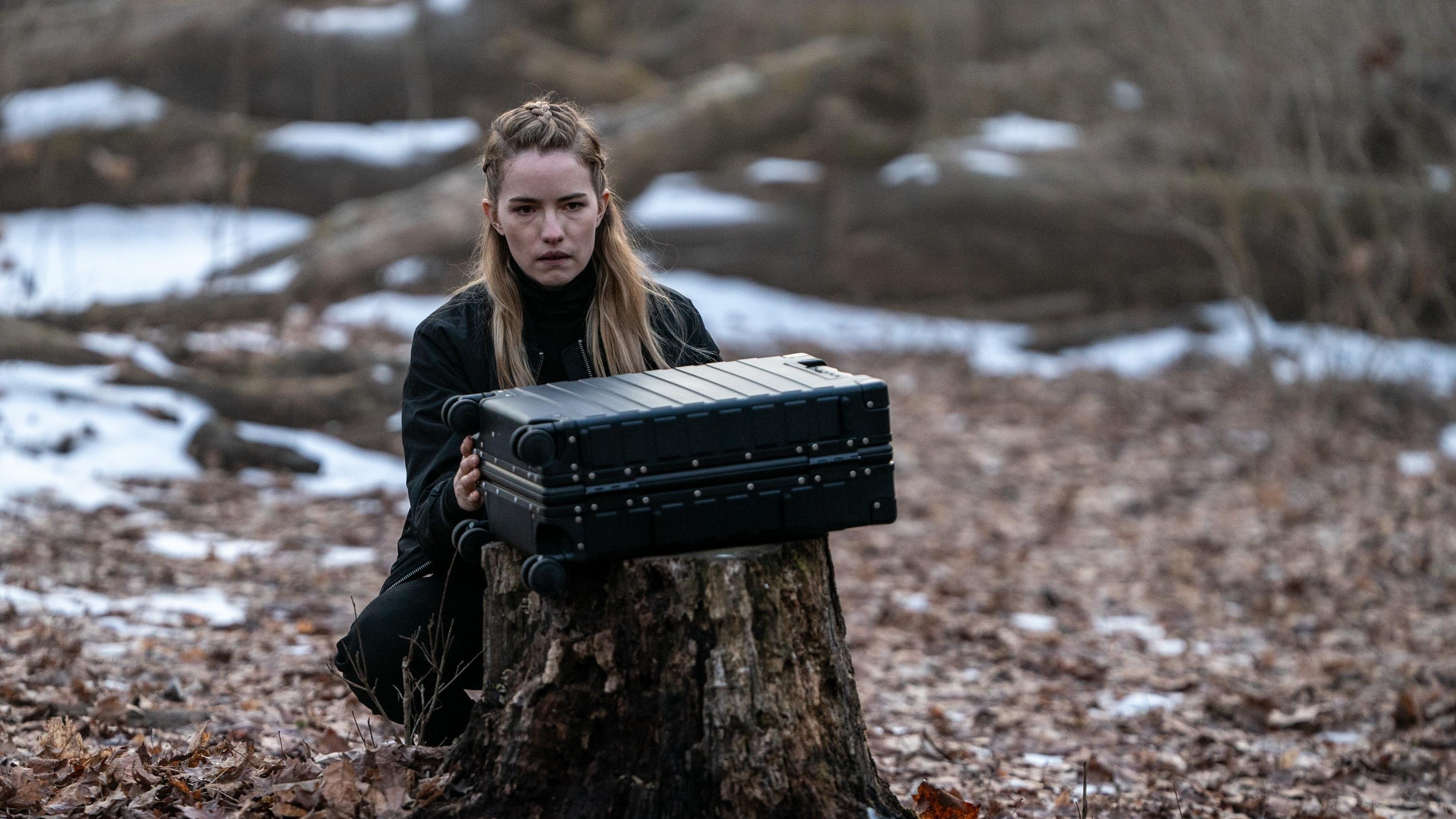 Alarum cropped processed by imagy