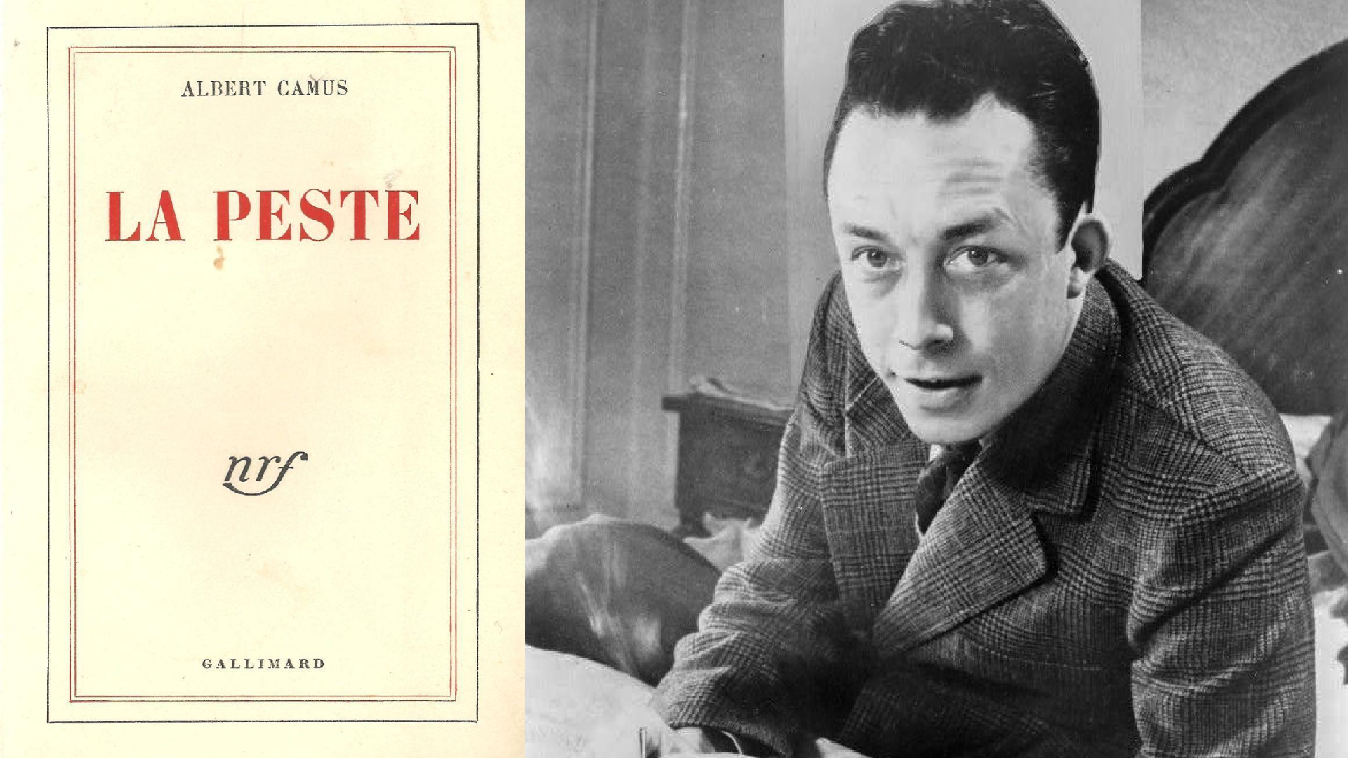 Alber Camus 02 Wikipedia