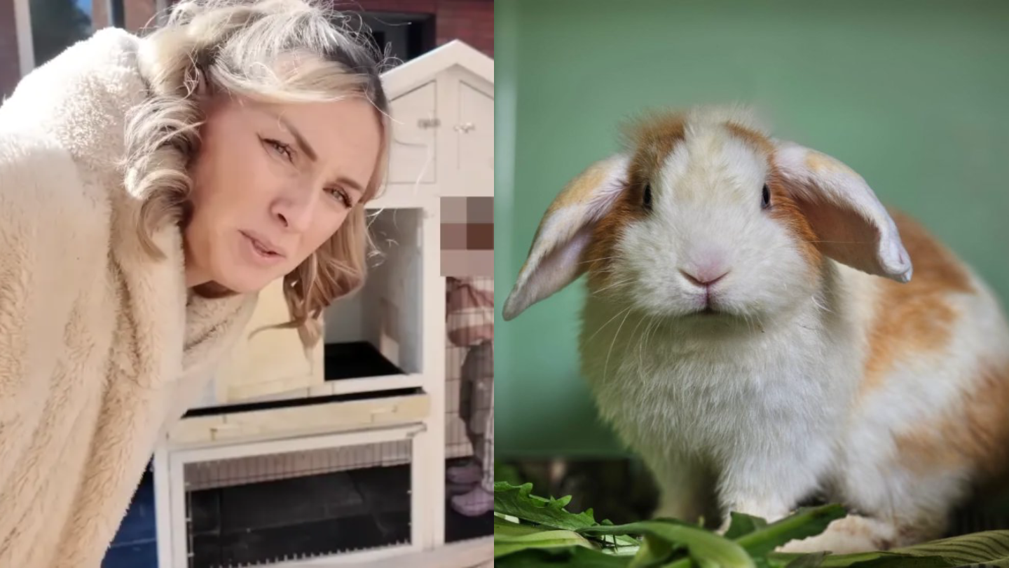 Aliciasmumlife Kaninchen