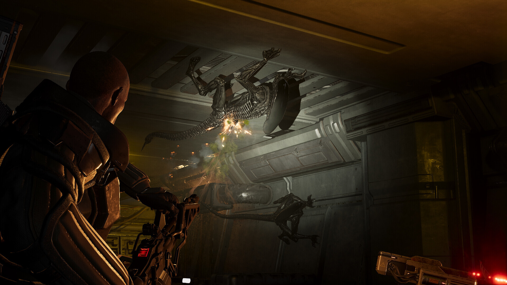Aliens Fireteam Elite 2