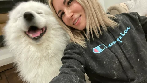 Alinity dog