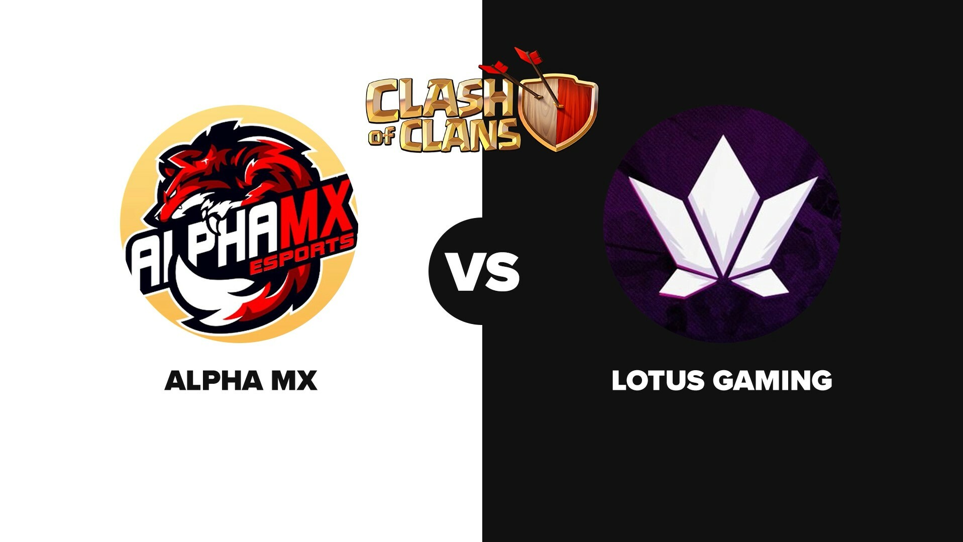 Alpha MX Lotus Week4