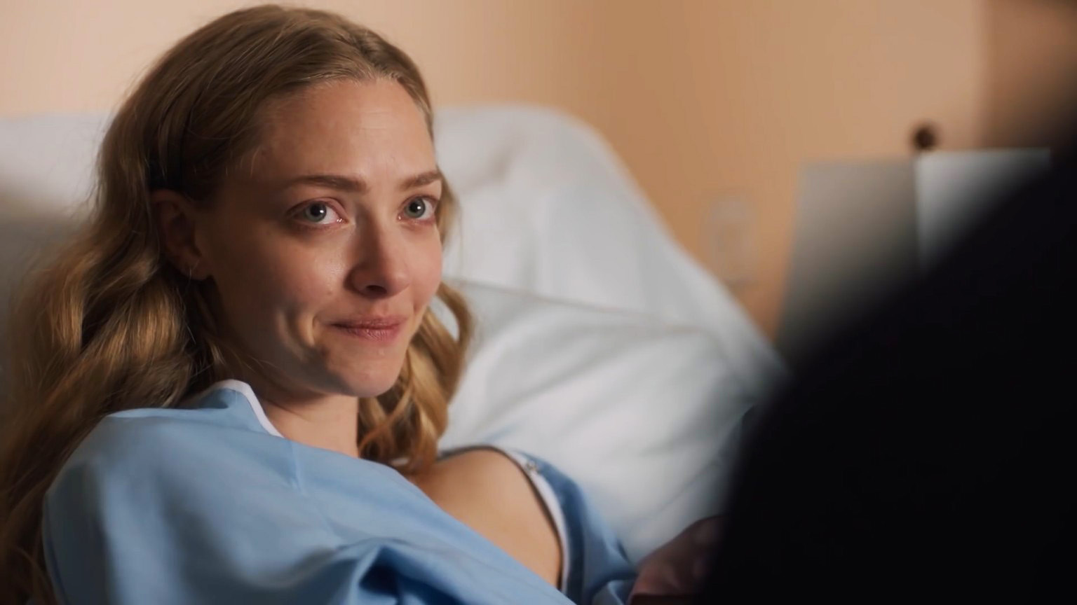 Amanda Seyfried