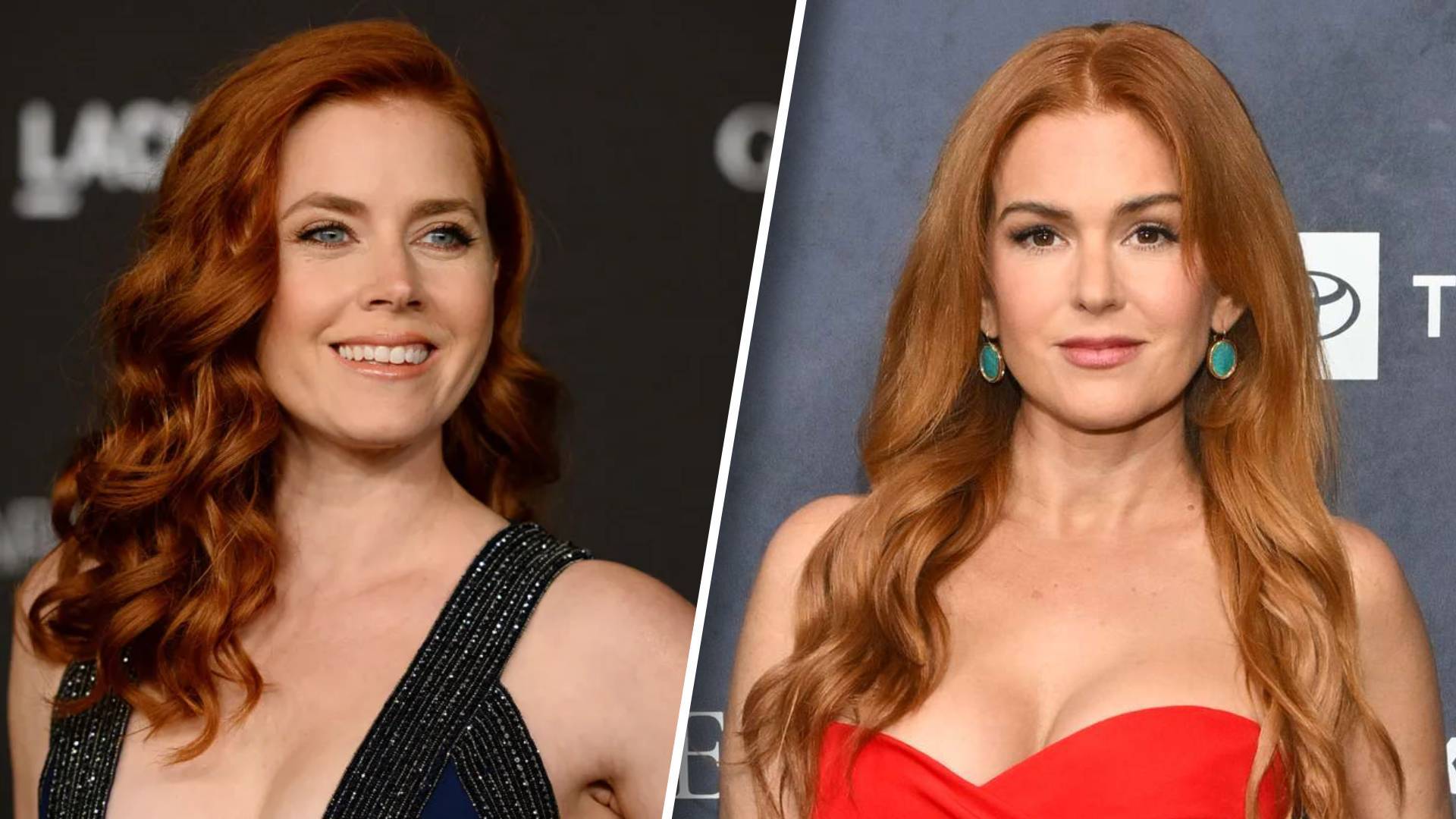 Amy Adams and Isla Fisher