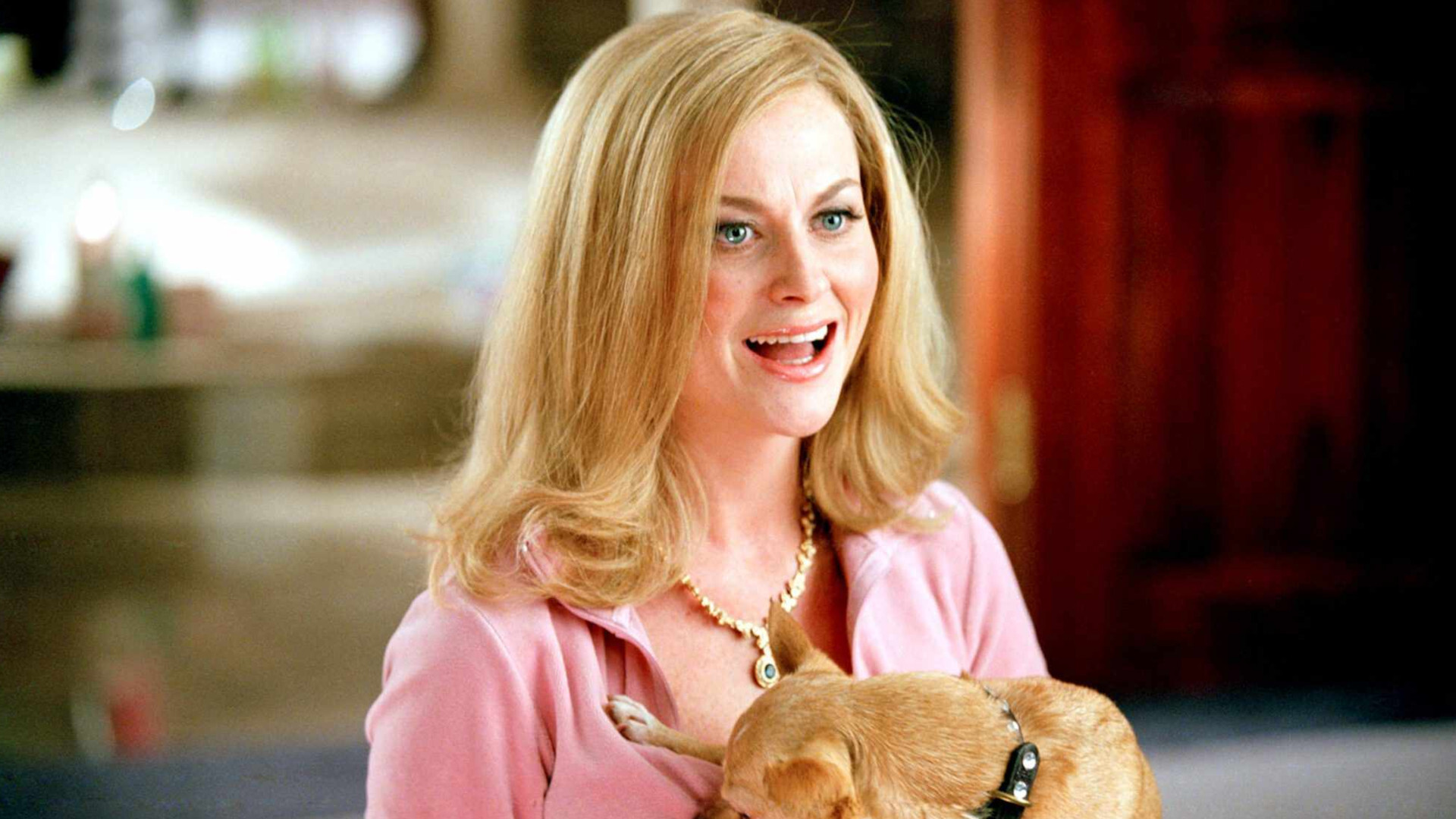 Amy Poehler Mean Girls