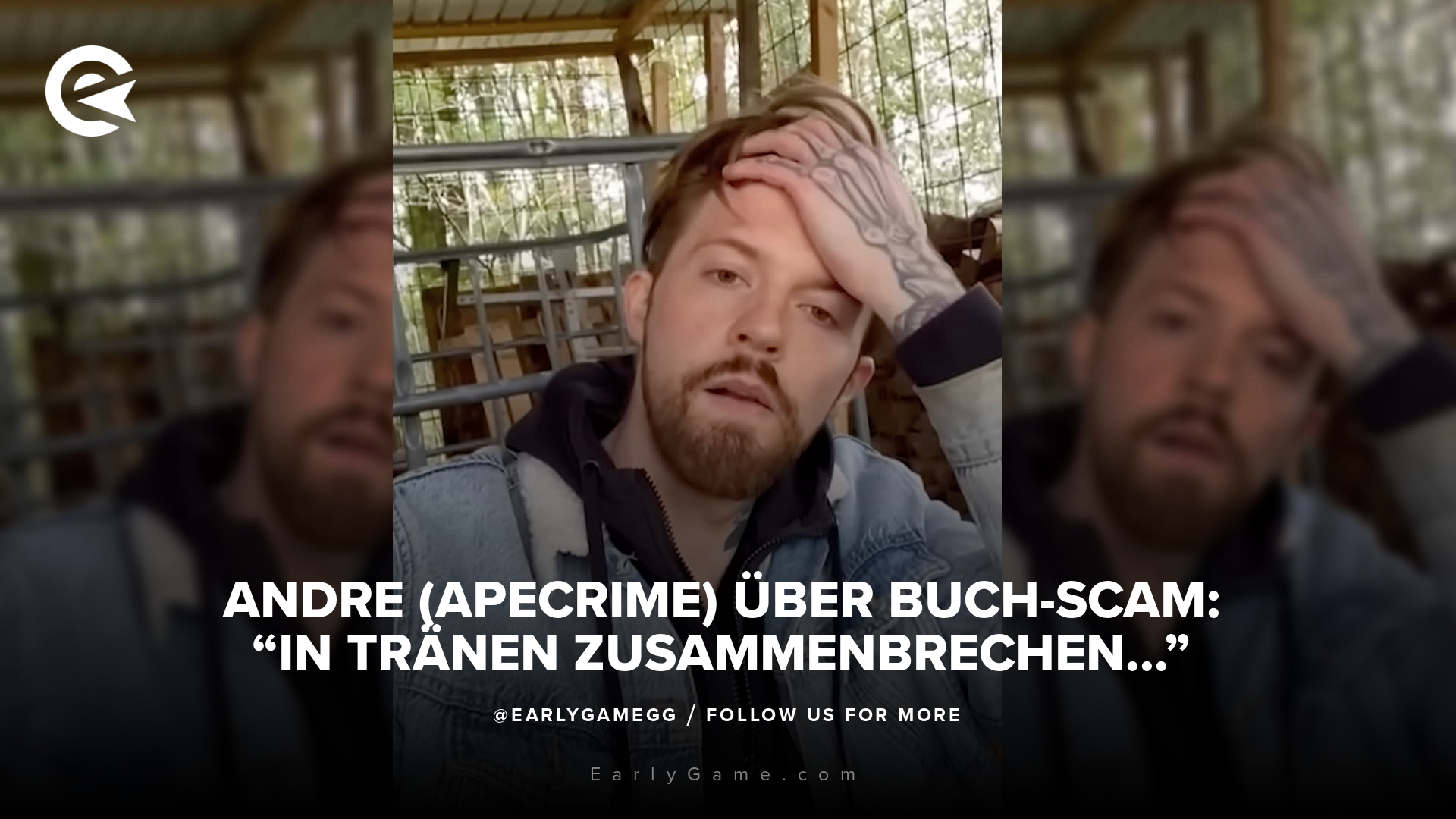 Andre Schiebler Buch Scam