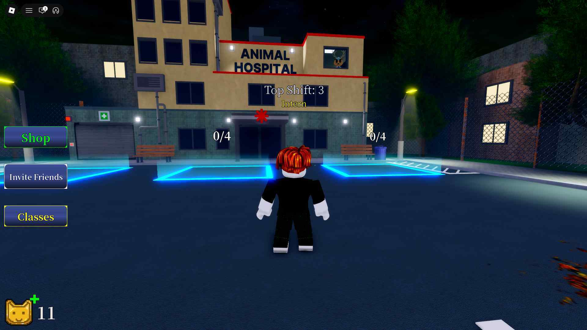 Animal Hospital Script 1