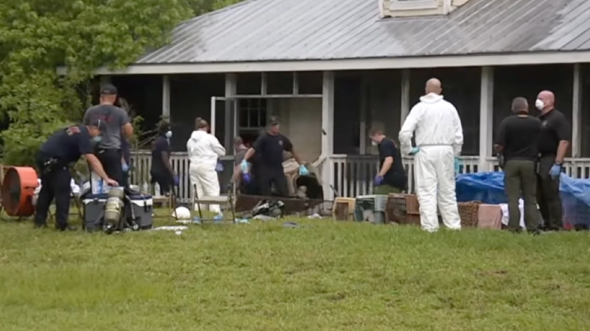 Animal Hoarding1 YT