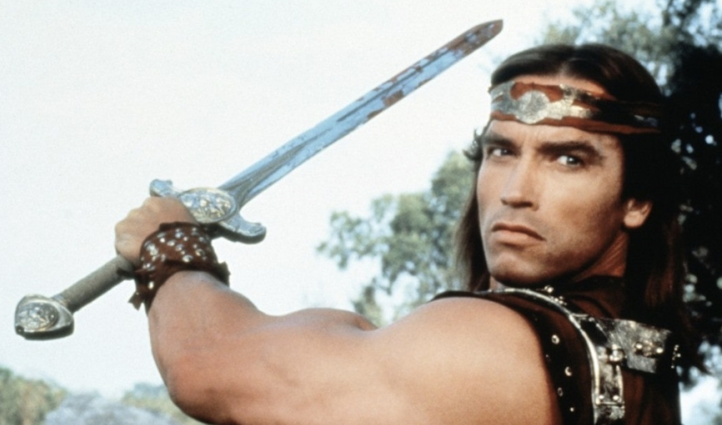 Arnold Schwarzenegger