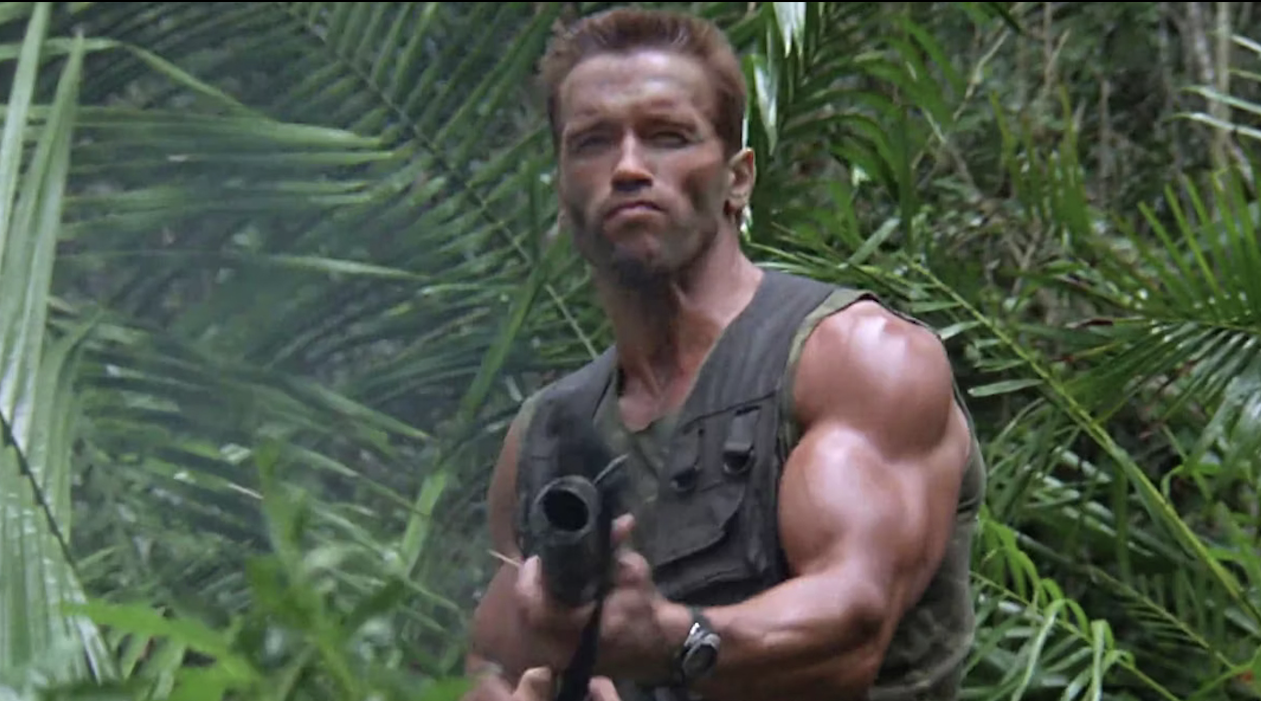 Arnold Schwarzenegger