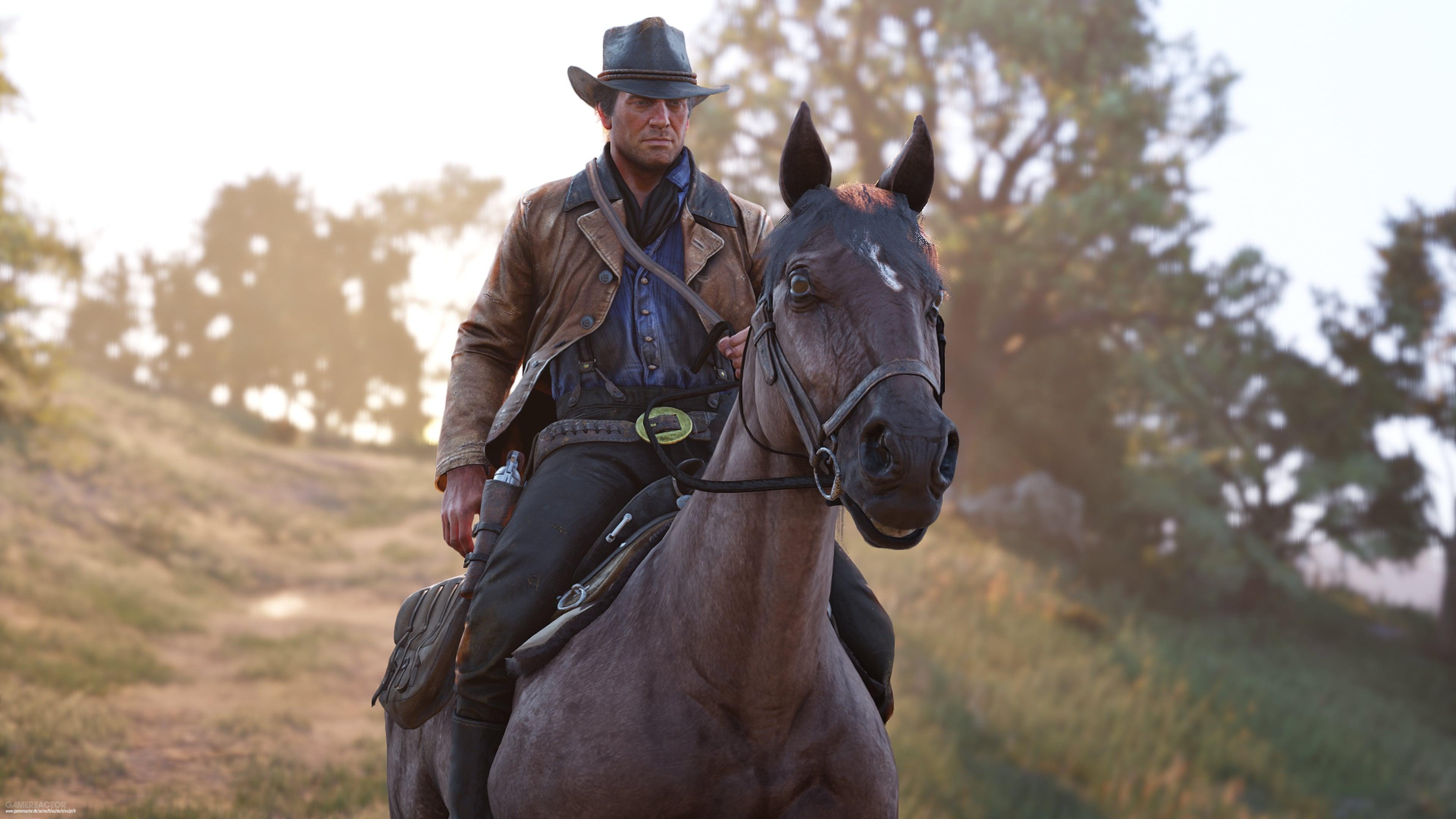 Arthur Morgans Horse from Red Dead Redemption 2