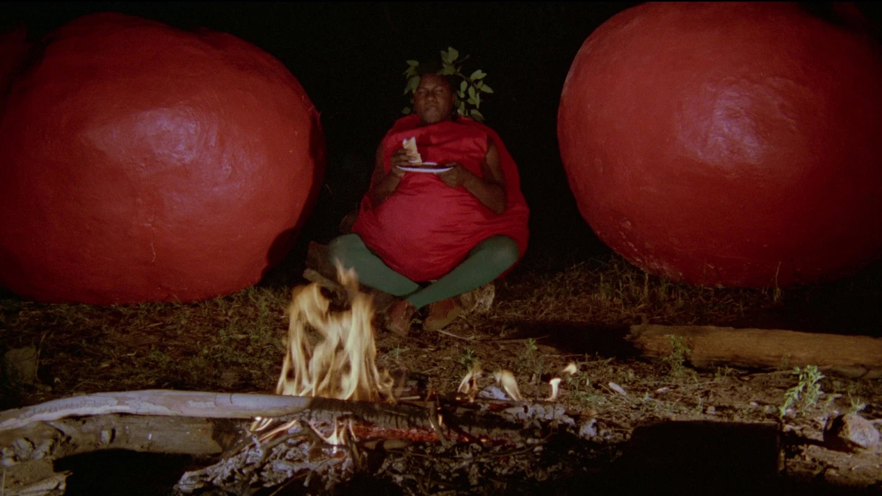 Attack of the Killer Tomatoes 1978