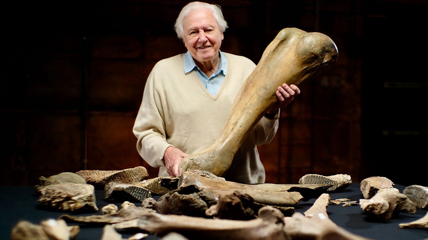 Attenborough and the Mammoth Graveyard