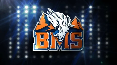 BMS logo