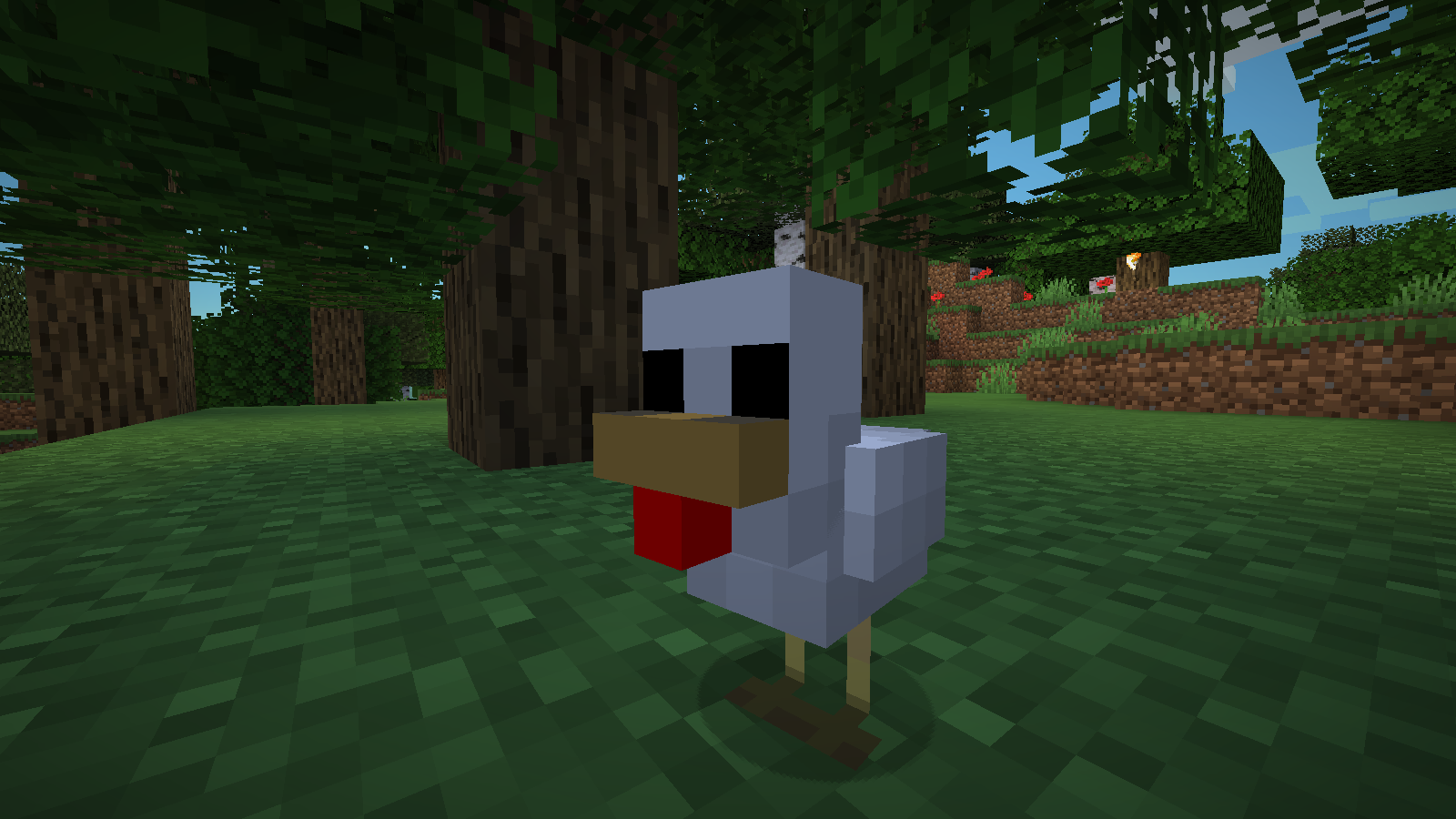 Baby chickens