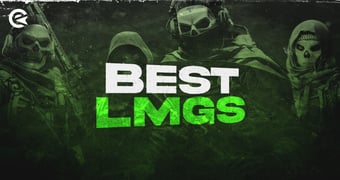 Best LMGS MW2