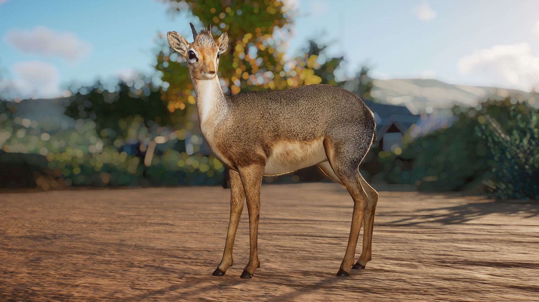 Planet Zoo: New DLC and a free leopard for fifth anniversary