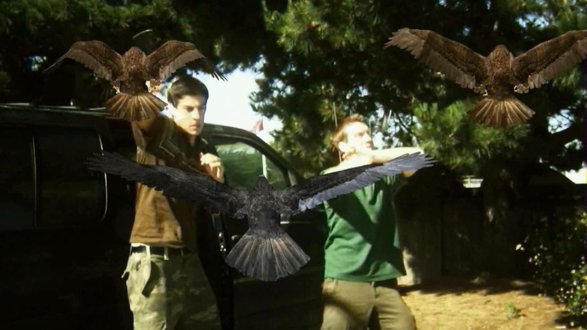 Birdemic Shock and Terror CGI