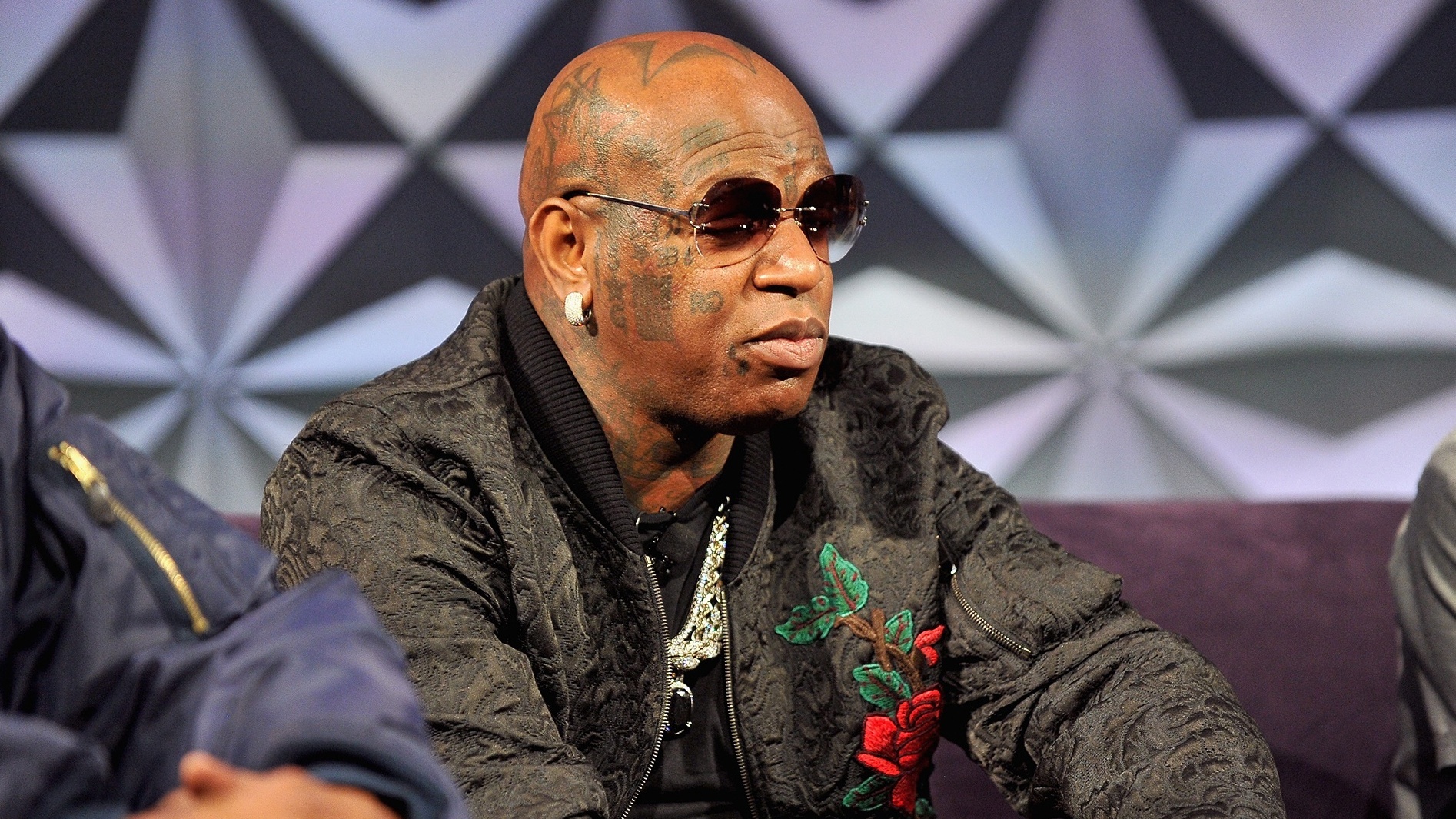 Birdman cropped processed by imagy