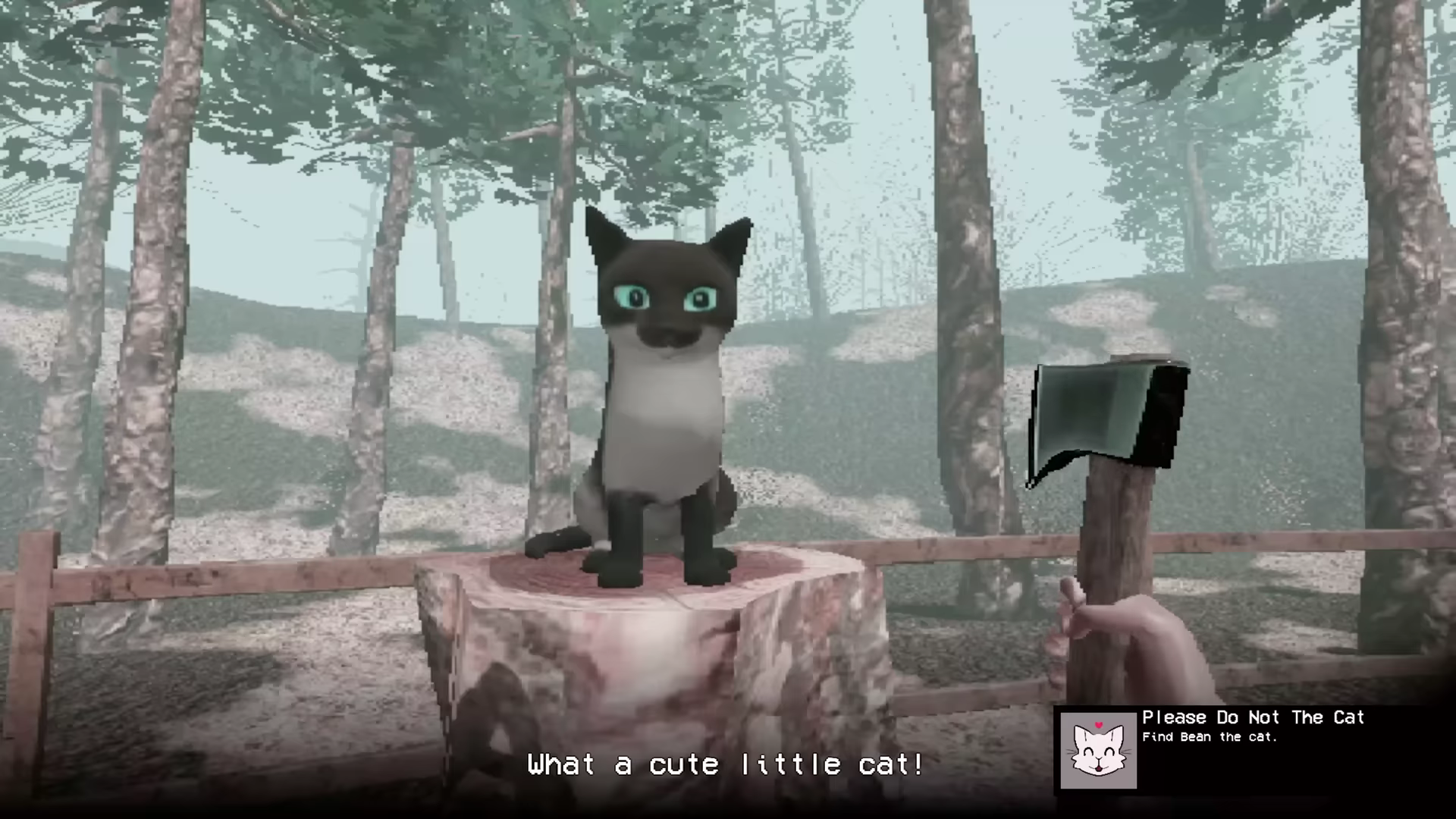 Bloodbark Please Do Not The Cat