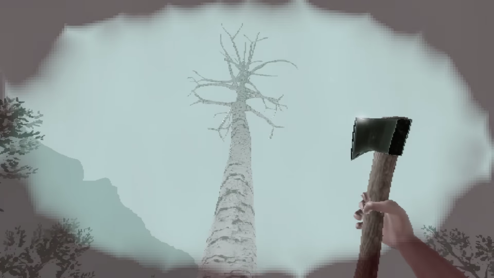 Bloodbark tree