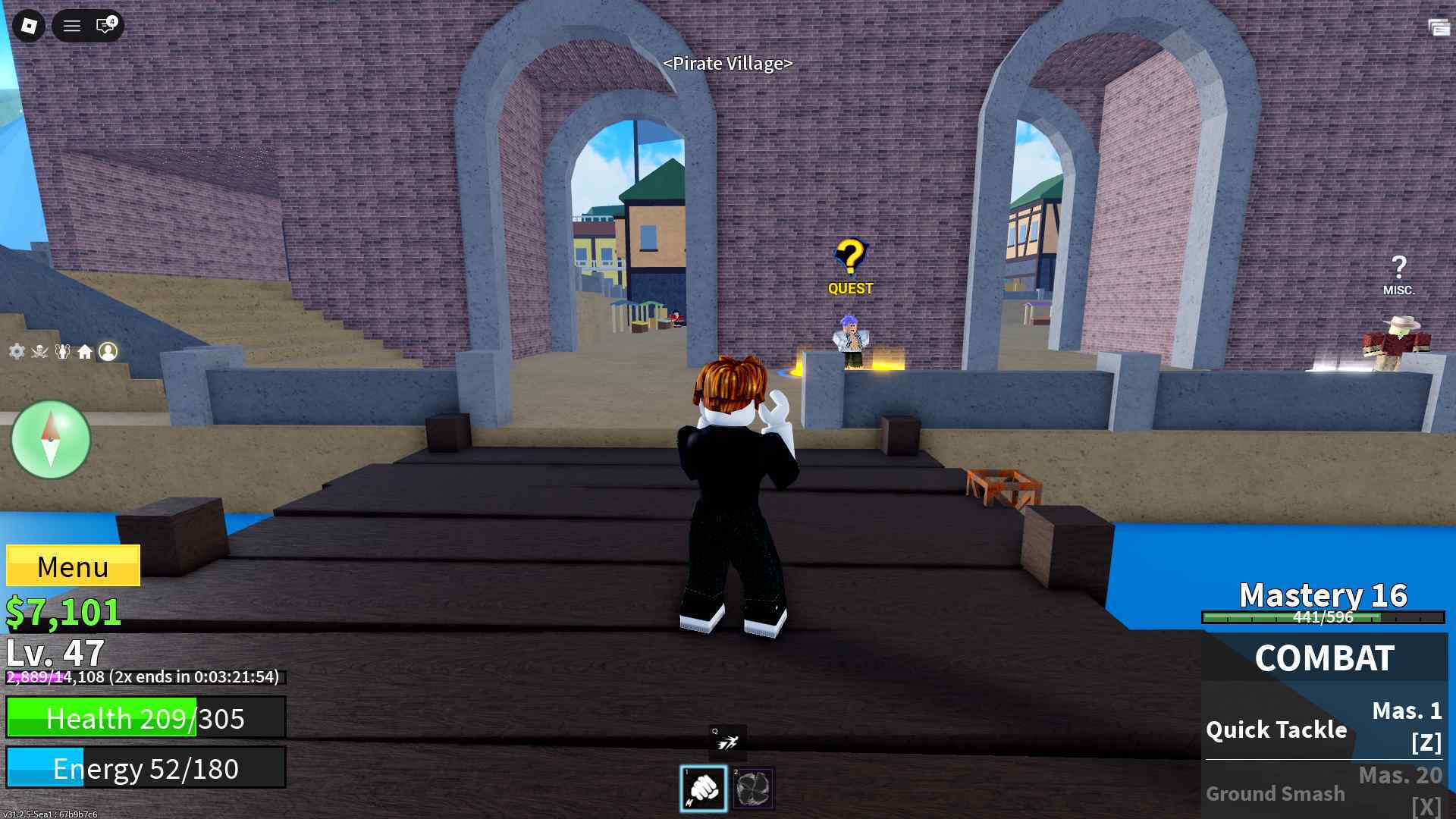 Blox Fruit 11