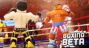 Boxing Beta Codes
