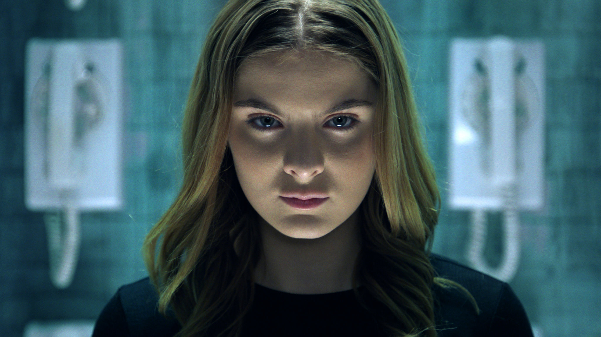 Brighton Sharbino