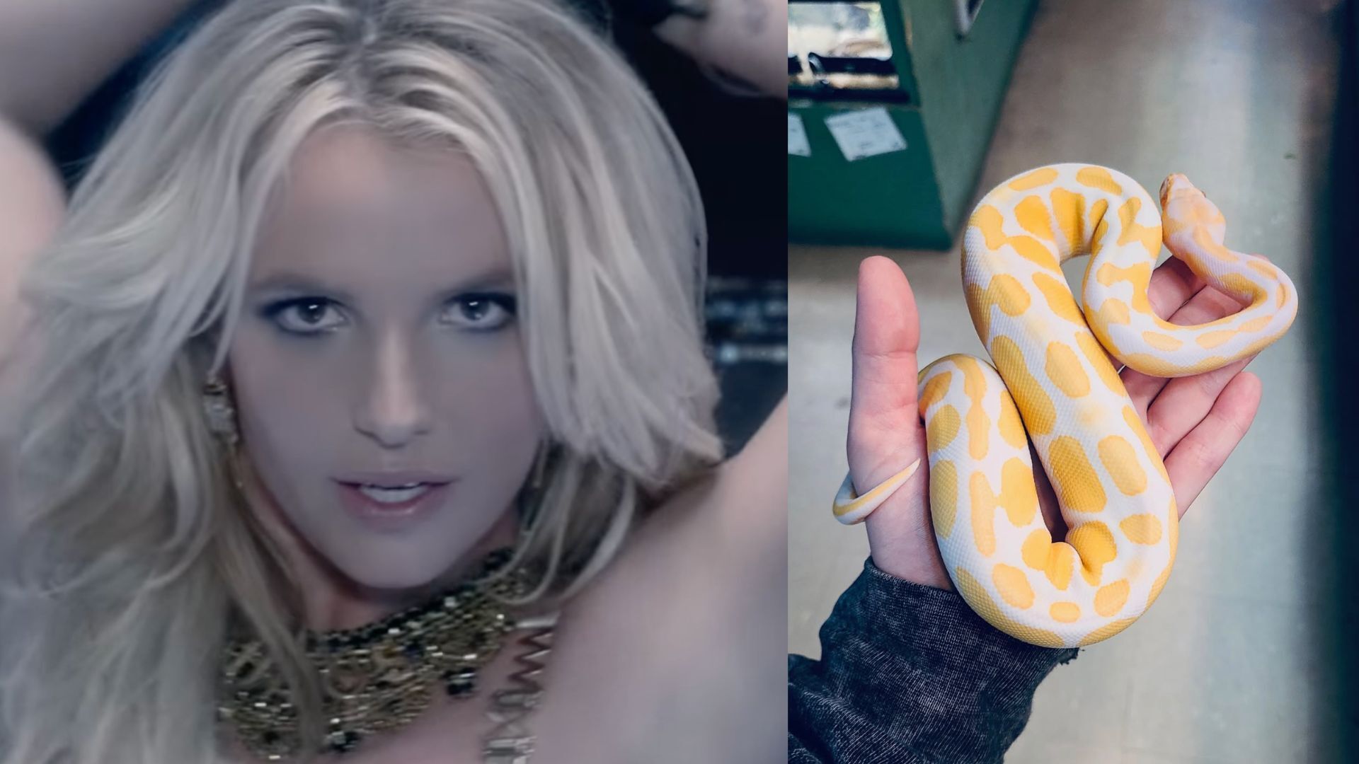 Britney Spears You Tube Instagram