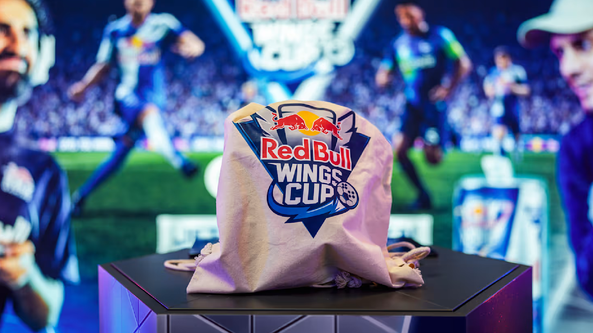 Bull Wings Cup 02