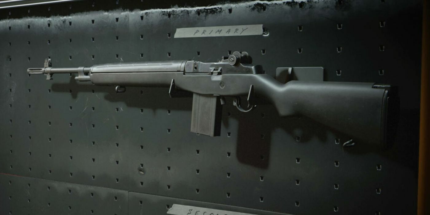 Call of Duty Warzone Black Ops Cold War DMR Overpowered