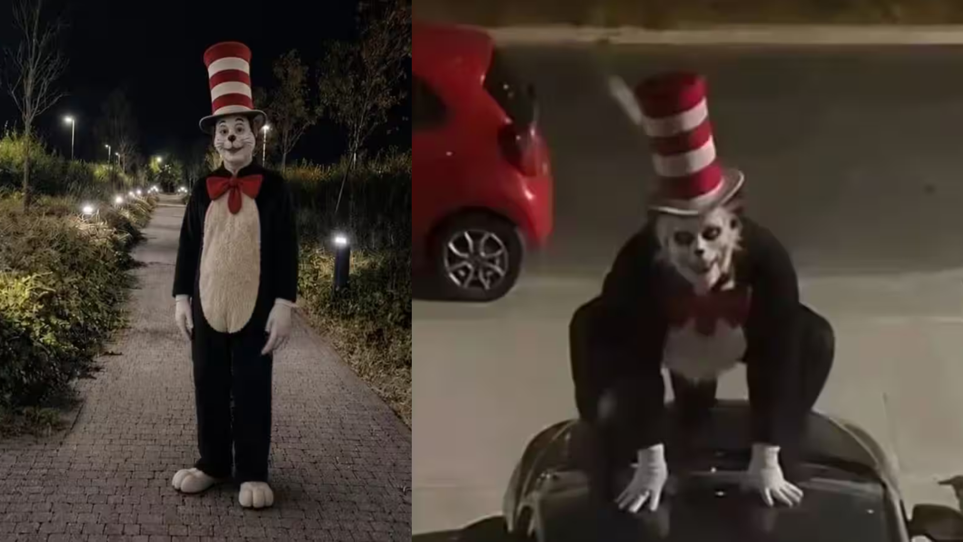 Cat In The Hat Horr 01 Tik Tok