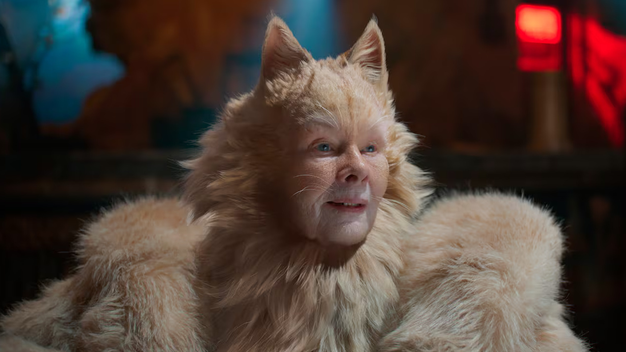 Cats Judi Dench cropped processed by imagy