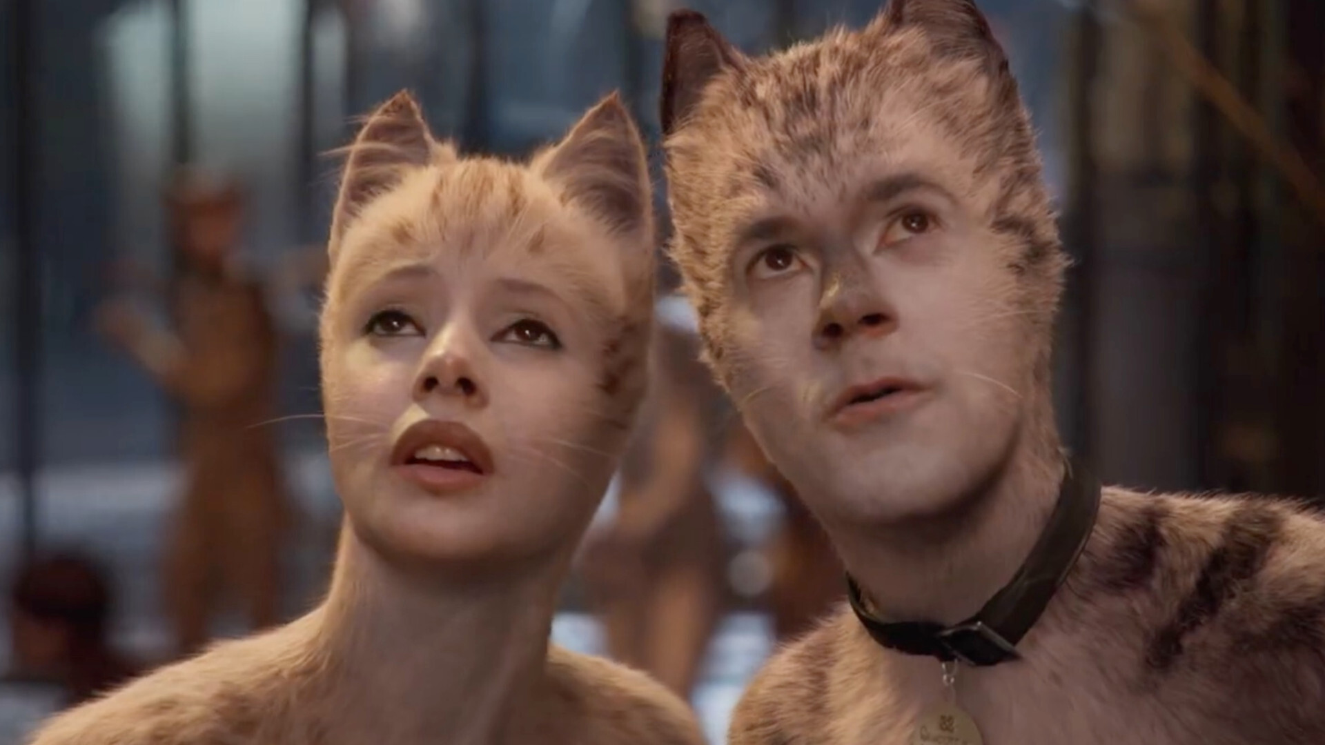 Cats 2019