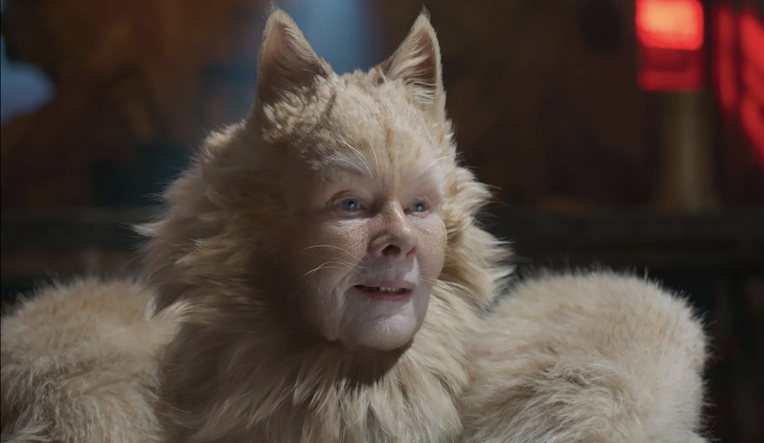 Cats