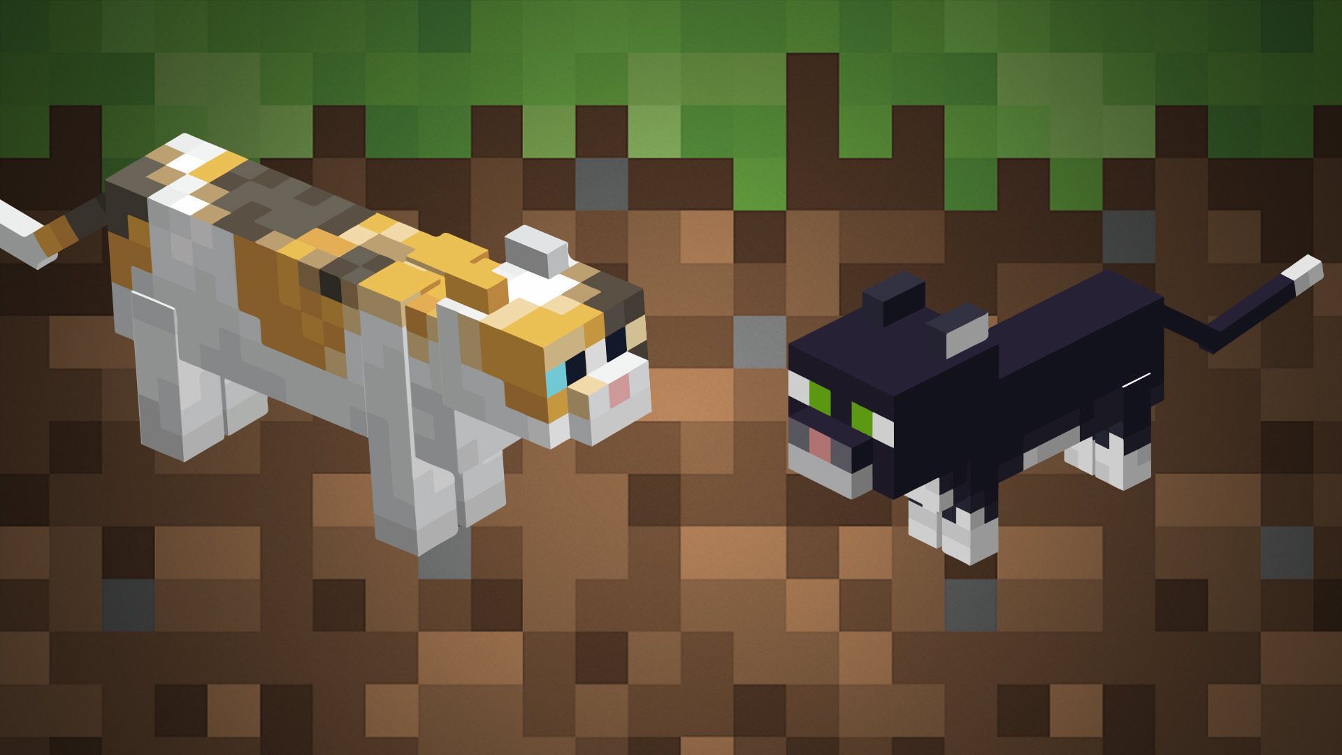 Cats