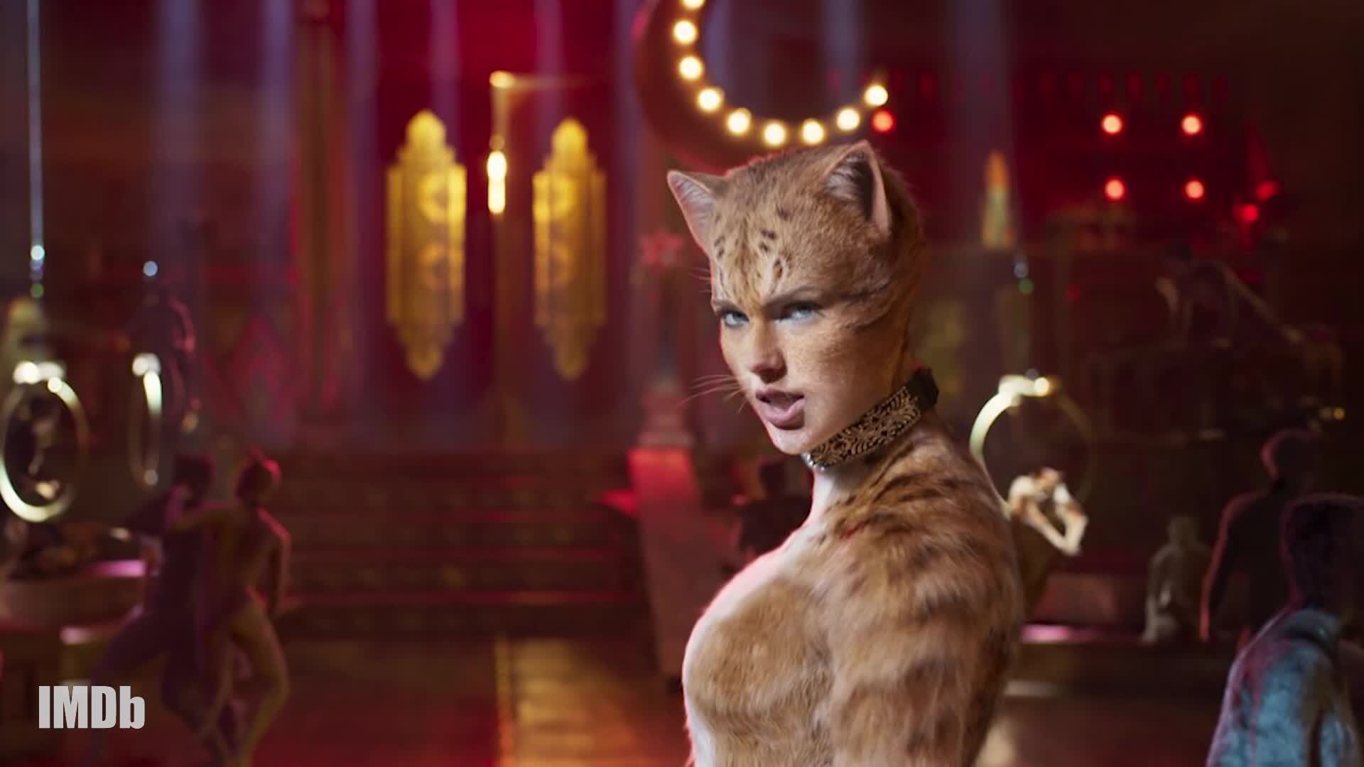 Cats