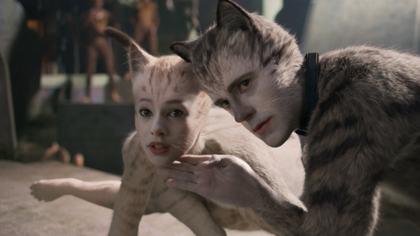 Cats