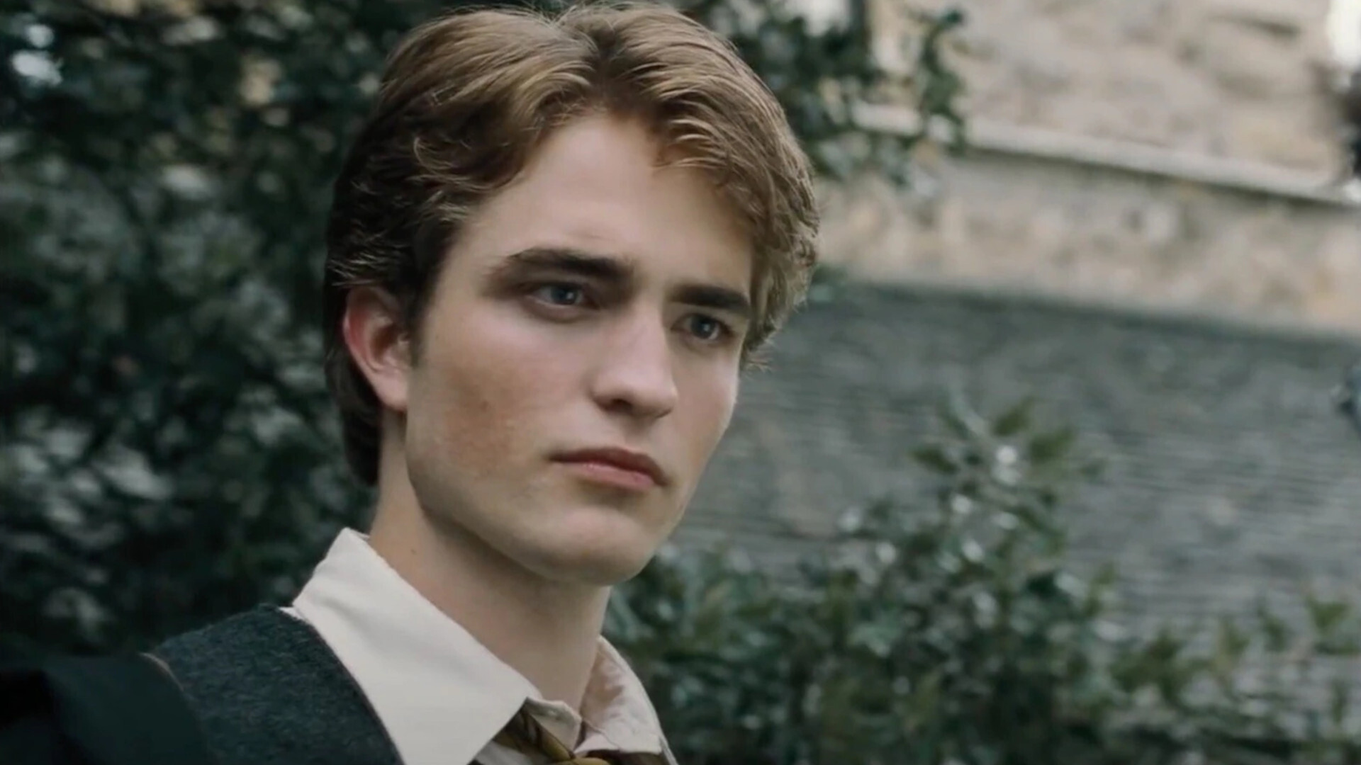 Cedric Diggory Harry Potter