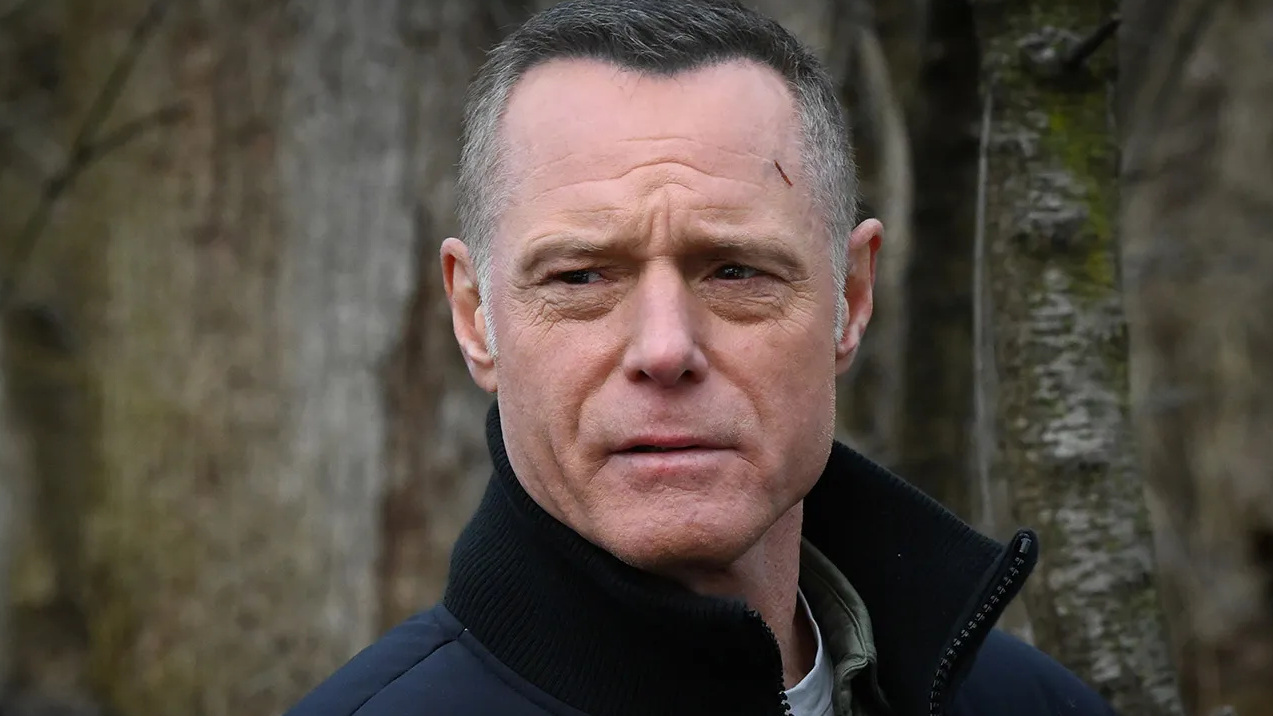 Chicago P D Jason Beghe cropped processed by imagy