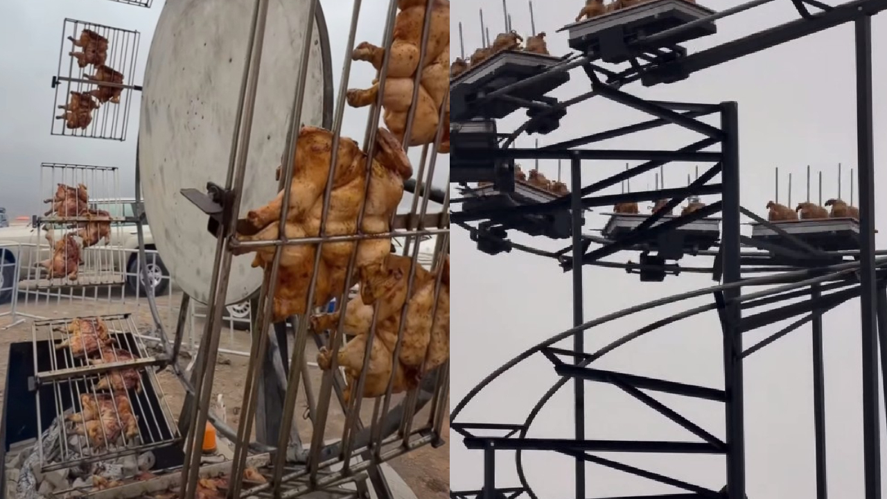 Chicken Park